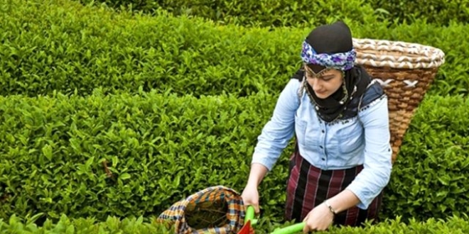 AYKUR, ya ay bedeli demelerine yarn balayacak