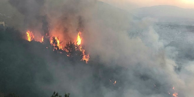 Basavclktan Hatay'daki orman yangnyla ilgili aklama