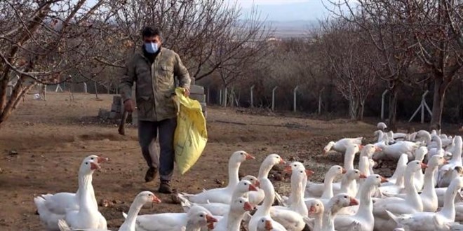 Arkadann tavsiyesine uydu imdi paraya para demiyor