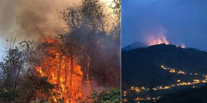 4 ilde, 23 noktada yangn; ekipler mdahale ediyor