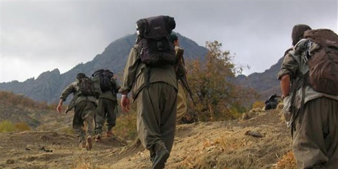 PKK'dan kaan 2 rgt mensubu gvenlik glerine teslim oldu