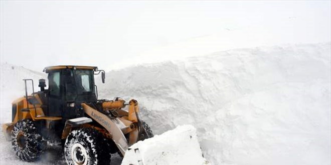 Mu'ta 'kar kaplanlar' yollar amak iin metrelerce karla mcadele ediyor