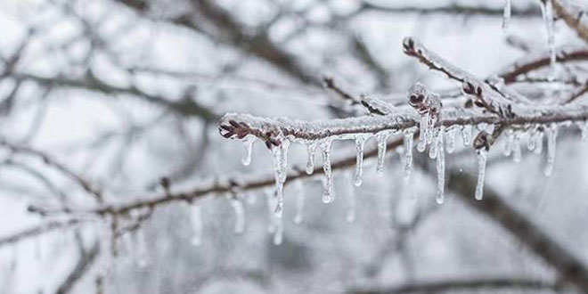 Meteorolojiden 4 blgeye zirai don uyars