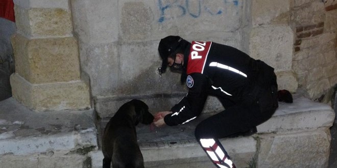 Polis ekipleri, eksi 10 derecede sokak hayvanlarn unutmad