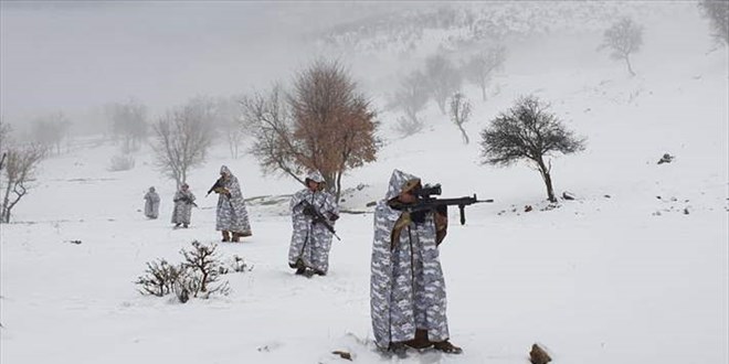 ileri: 2 bin 24 personelin katlm ile 'Eren-2 Lice Operasyonu' balatld