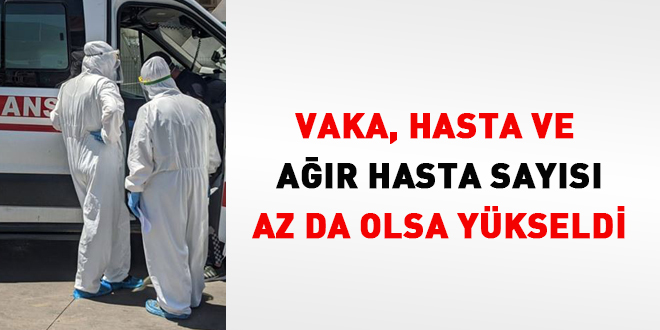 Vaka, hasta  ve ar hasta says az da olsa ykseldi