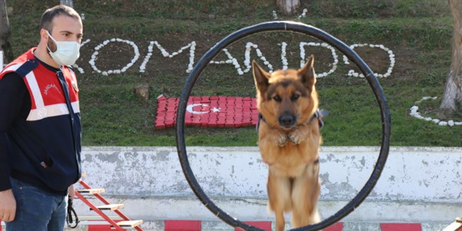 Jandarmann sper burunlar 'komando' gibi eitiliyor