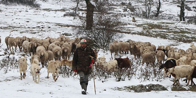 Balkanlar zerinden gelen kar ile Trakya beyaza brnd