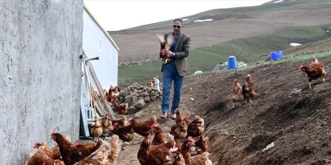 Koyune Donen Emekli Memur Tavuk Ciftligi Kurdu Memurlar Net Koyune Donen Emekli Memur Tavuk Ciftligi Kurdu Memurlar Net