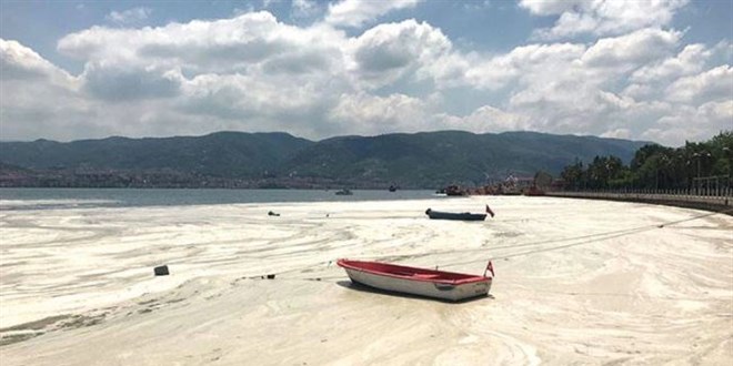 'Suyun Profesr'nden dokuz maddelik msilaj zm forml