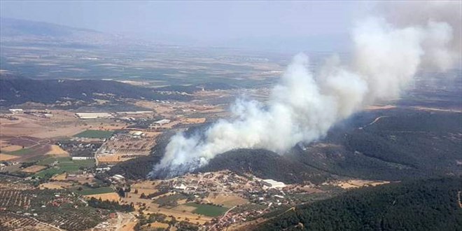 zmir'de kan orman yangnna mdahale ediliyor