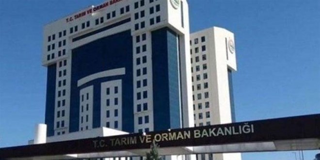 Tarm ve Orman Bakanl Personeli Grevde Ykselme ve Unvan Deiiklii Ynetmeliinde Deiiklik