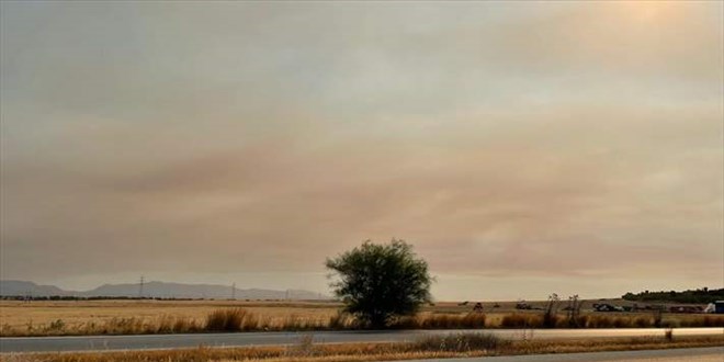 Trkiye'deki orman yangnlarnn etkisi KKTC'de hissedildi