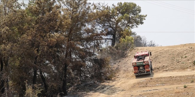 Manavgat'ta rzgarn etkisiyle almalar glkle ilerliyor