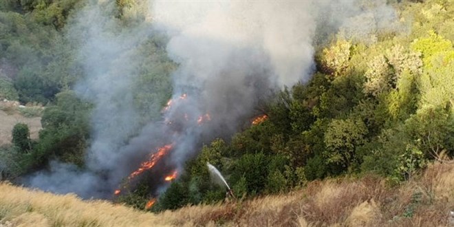 Orman yangnlarn engellemek iin neri: Havai fieklerin yasaklansn
