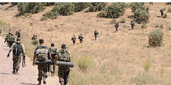 Mardin'de terr rgt PKK'ya ynelik operasyon balatld