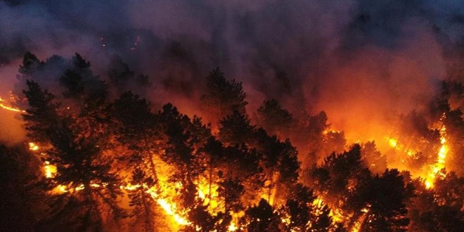 Polonya'dan yangnla mcadele eden Trkiye'ye destek