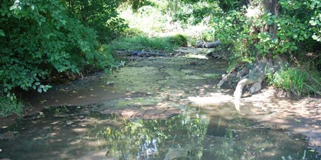 Pendik'te kanalizasyon atklarnn merli Baraj'na akt iddia edildi