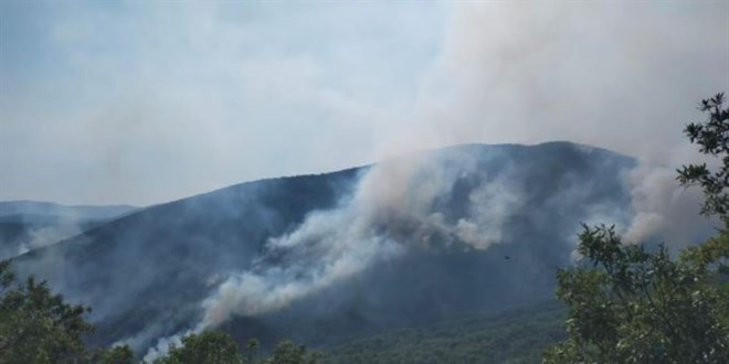 Tunceli Valilii'nden orman yangnna ilikin aklama