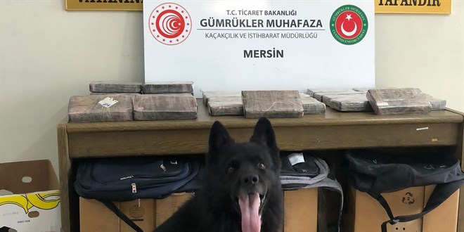 Mersin Liman'nda 30 kilo kokain ele geirildi