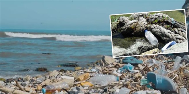 Karadeniz'de kirlilik; 500 metrekarede 2 bin 500 atk kt