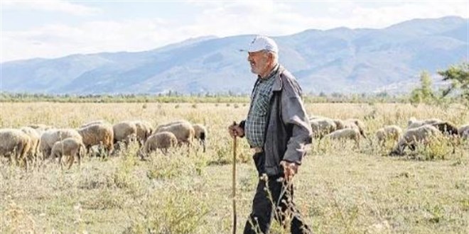 Maya tutmad ve Akehir l oldu