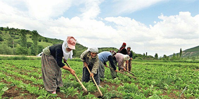 klim krizine tarmsal planlama: Ar hava olaylar retimi olumsuz etkiliyor