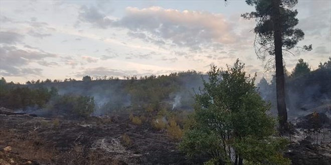 Ktahya'da kan orman yangn ksmen kontrol altna alnd