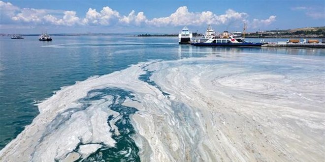 Uzmanlar aratrd, Marmara'dan kan balk tketilir mi?