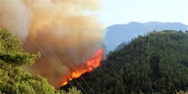 Antalya'da kan orman yangnna mdahale ediliyor